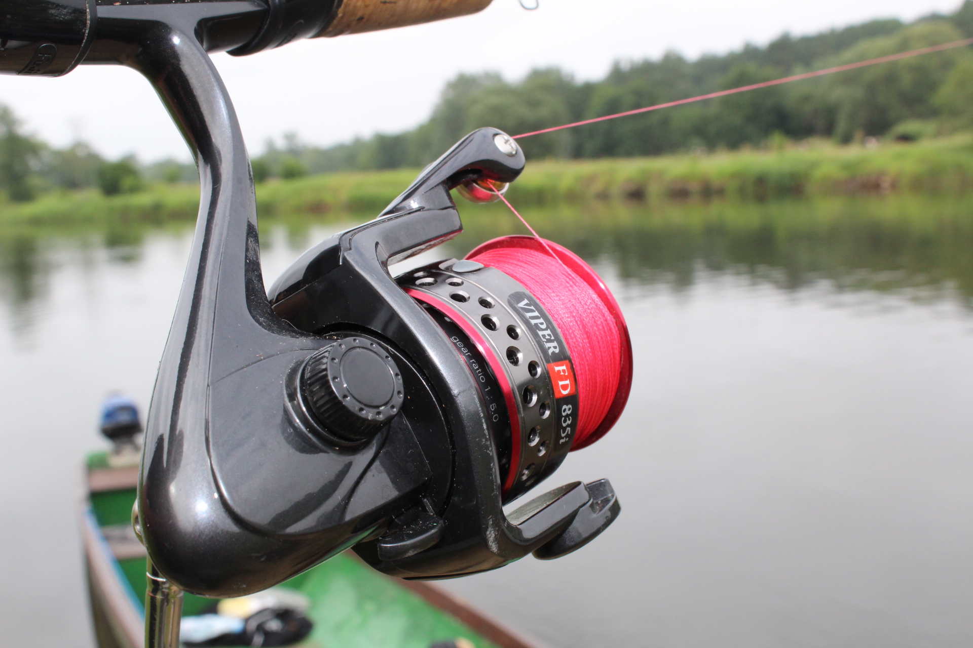 IMG_6657 — kopia.JPG