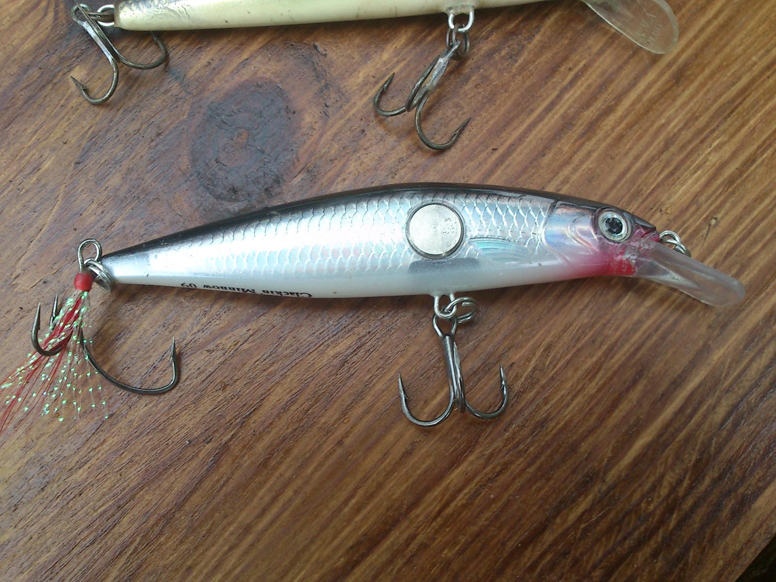 DSC_0431.jpg