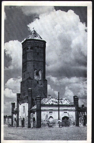 19.jpg