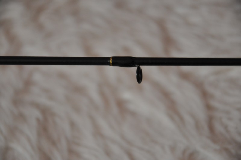 DSC_1175.jpg