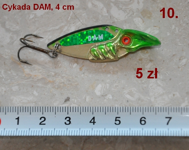 DSC_1302.jpg