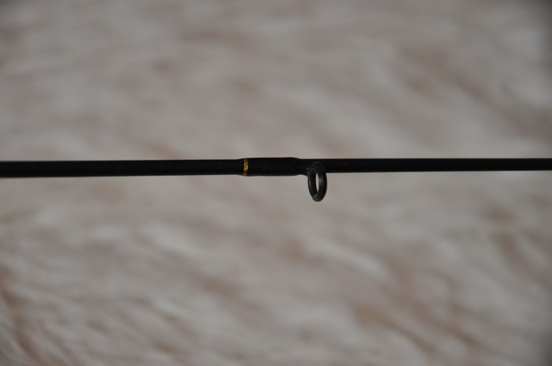 DSC_1176.jpg