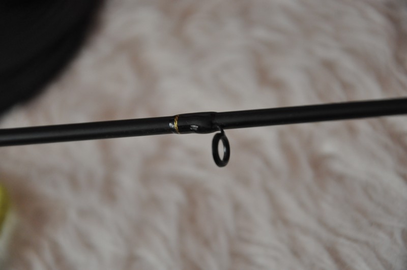DSC_1174.jpg