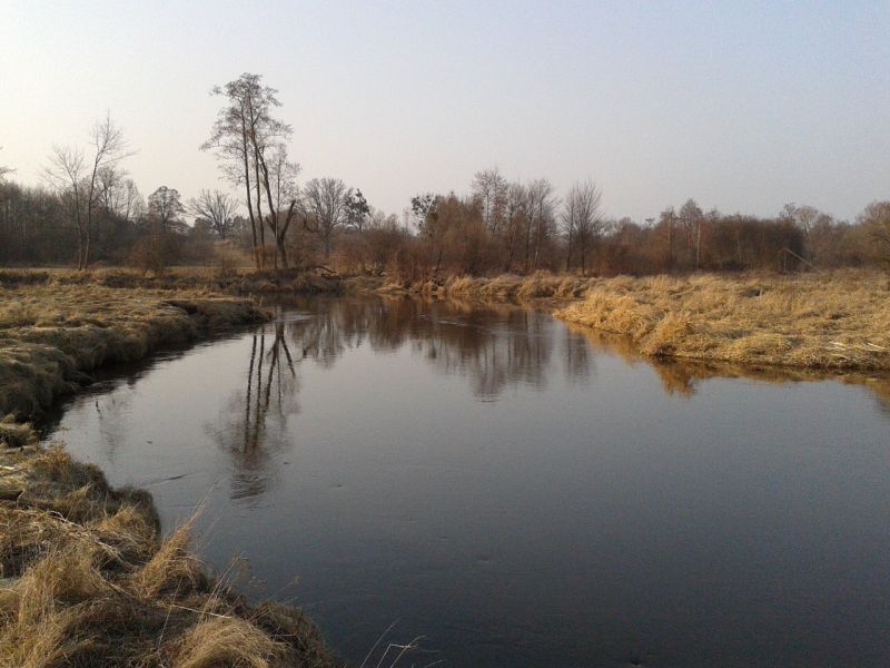 2012-03-17 15.56.50.jpg