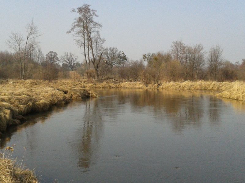 2012-03-17 12.53.11.jpg