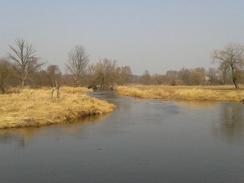 2012-03-17 12.53.21.jpg