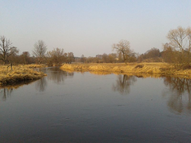 2012-03-17 15.56.36.jpg