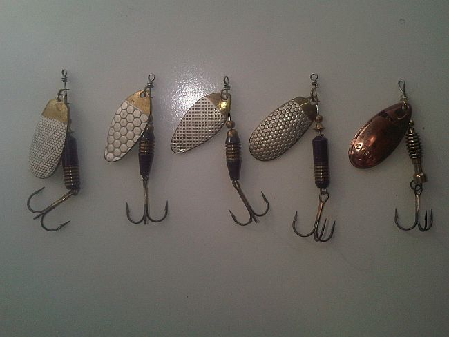 1. Aszychminki i Celta_.jpg