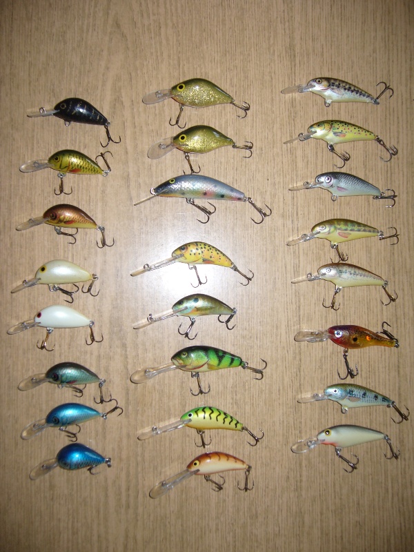 wobki (7).JPG
