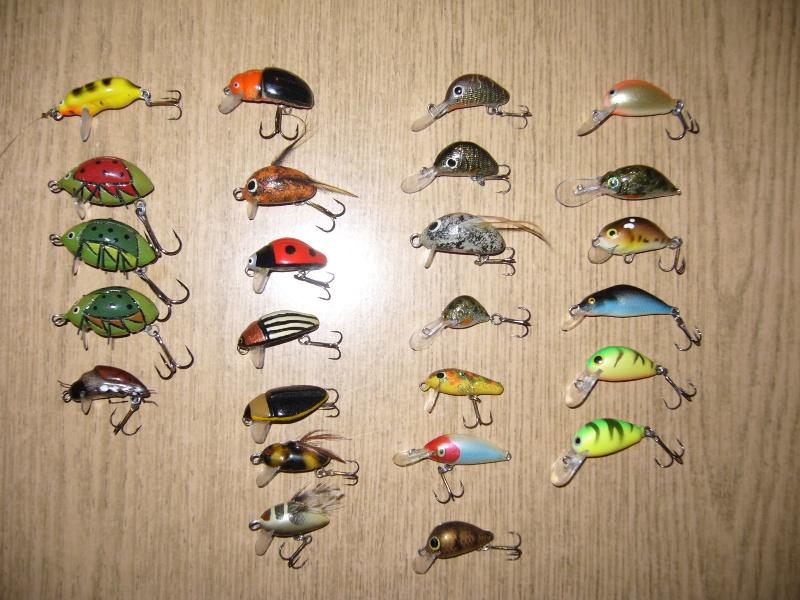 wobki (3).JPG