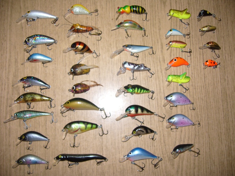 wobki (5).JPG