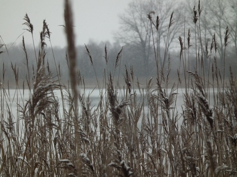 wyjazd na działkę 447.JPG