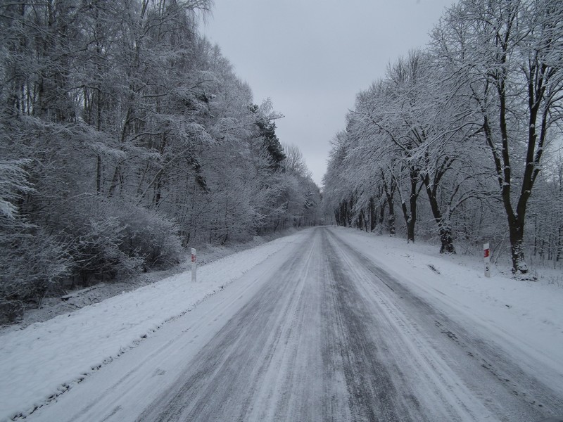 wyjazd na działkę 445.JPG