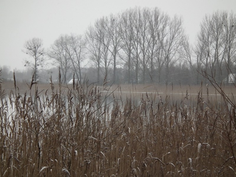 wyjazd na działkę 449.JPG