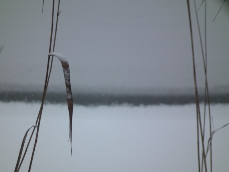 wyjazd na działkę 450.JPG