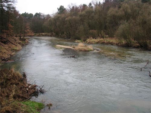 27_103.jpg