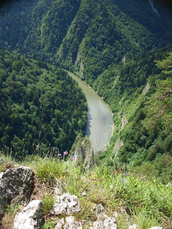 P7026757.JPG