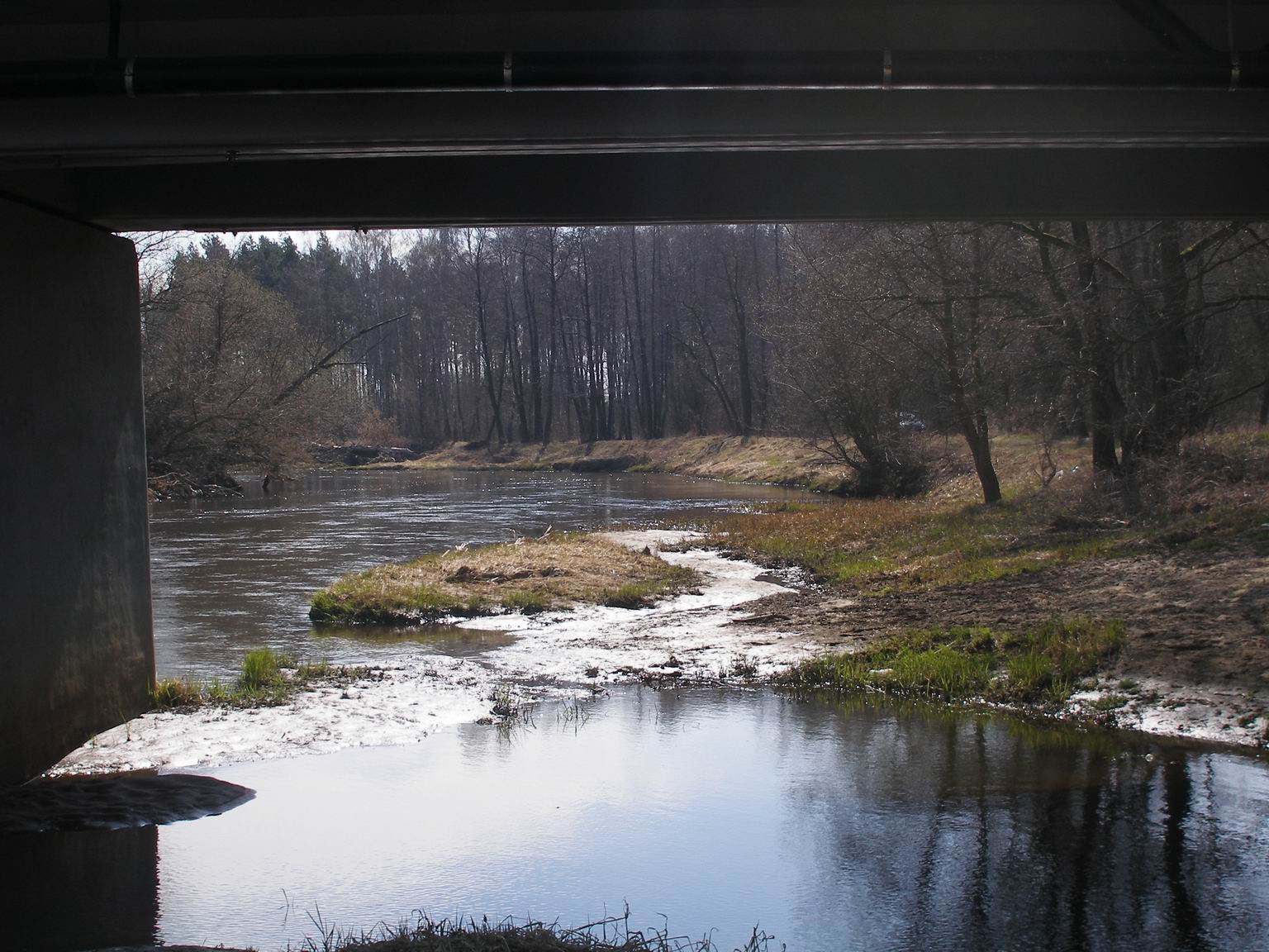 Resize of P4110039.JPG