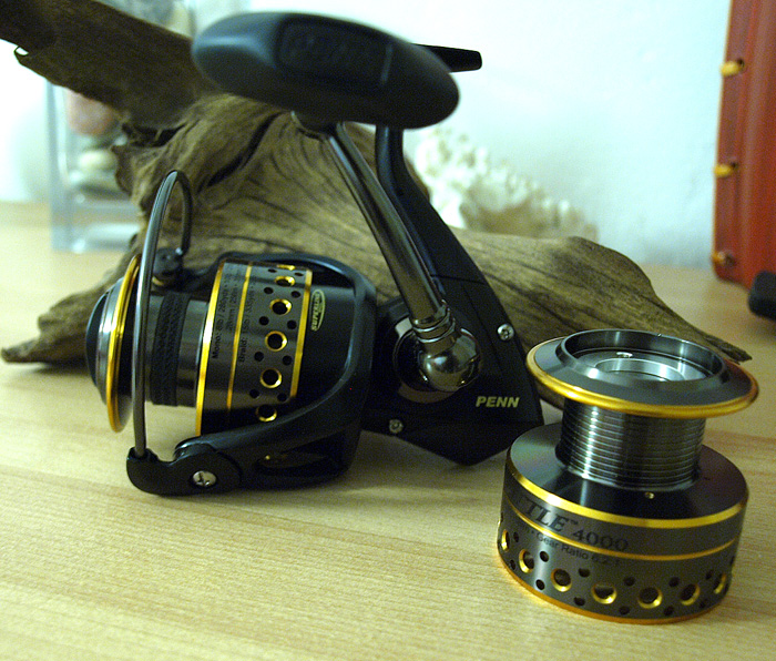 P4266101.JPG