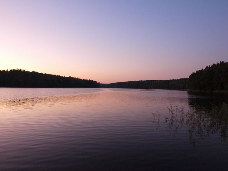 PA014681.JPG