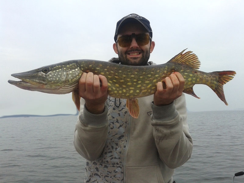 2013-10-10 13.43.17.jpg