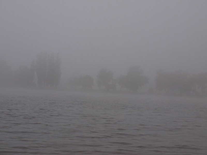 P9104568.JPG