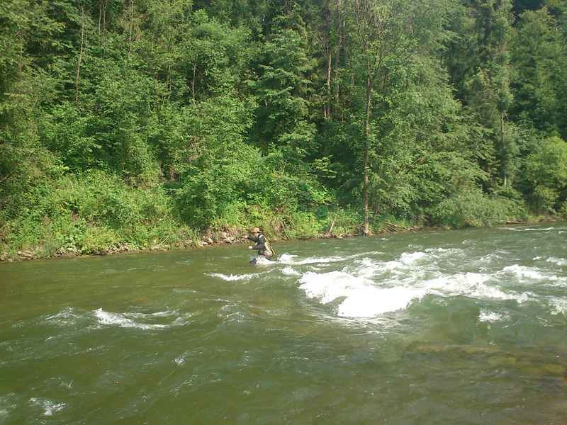 DSC_0104.JPG