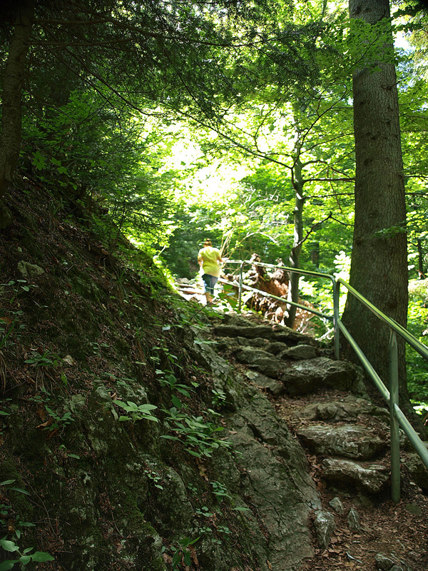 P7026747.JPG