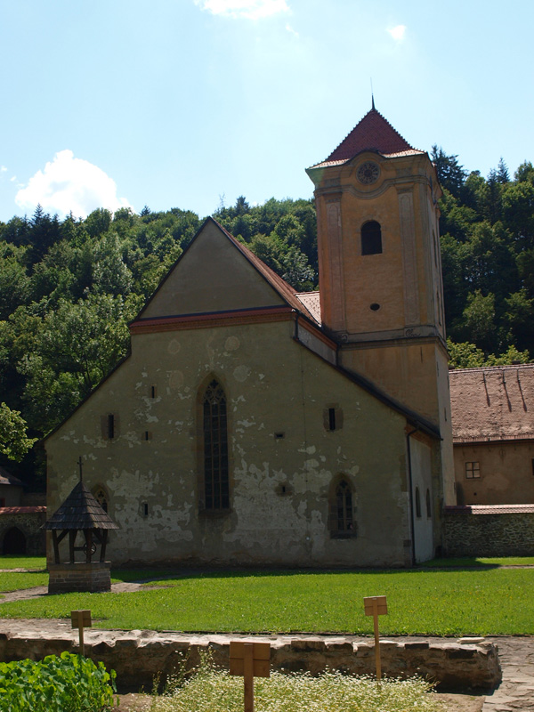P7036825.JPG