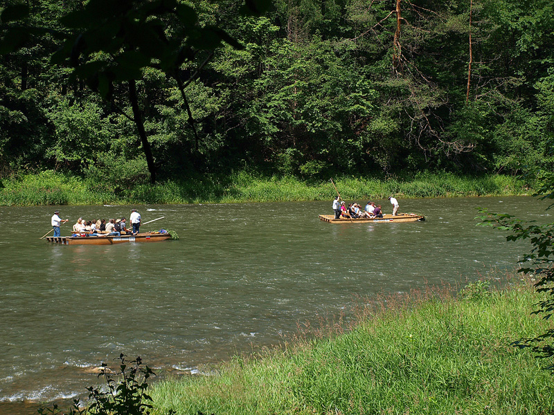 P7026729.JPG