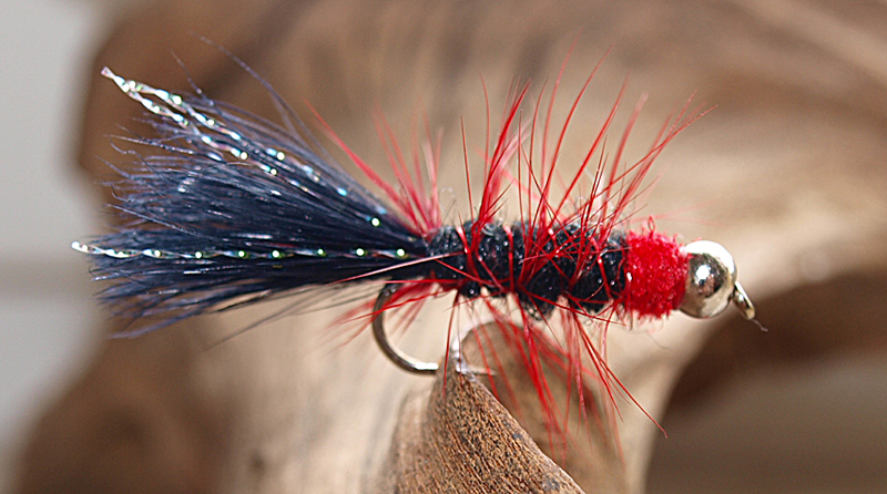 Red-Black Bugger.jpg