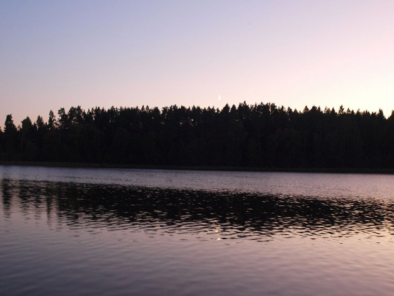 PA014682.JPG
