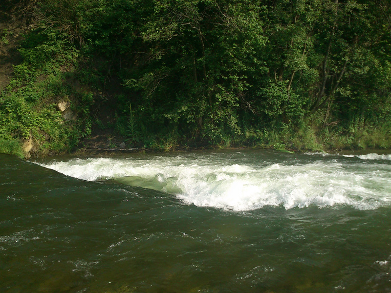 DSC_0100.JPG
