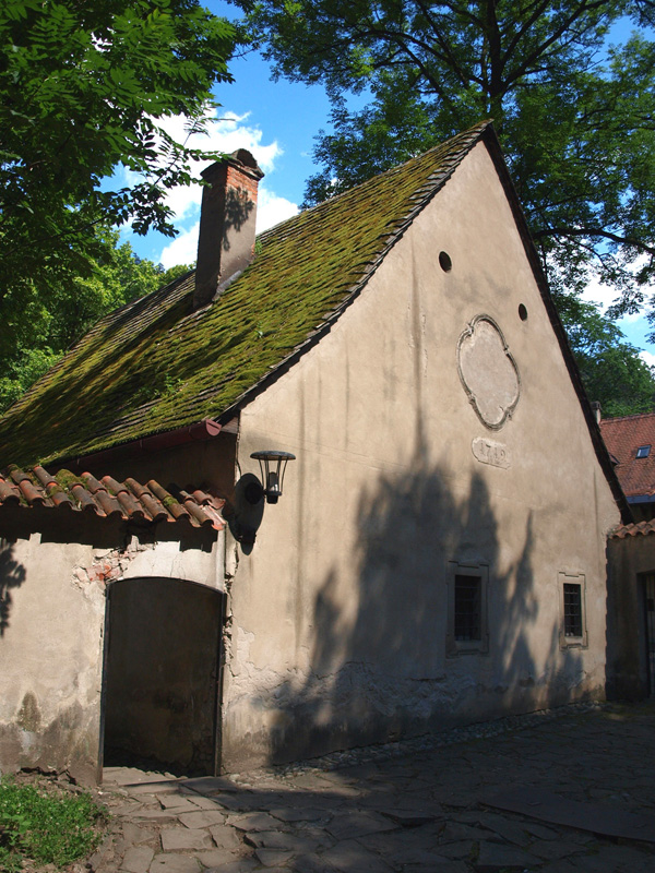 P7036829.JPG