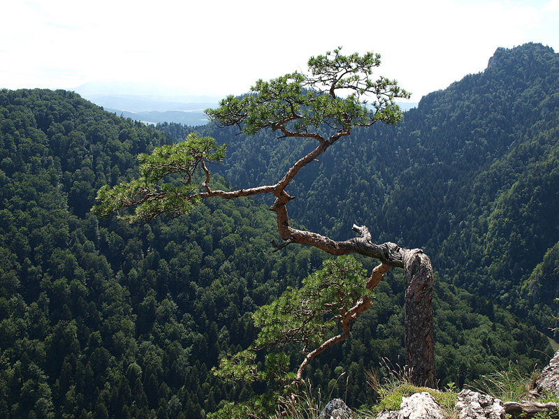 P7026780.JPG
