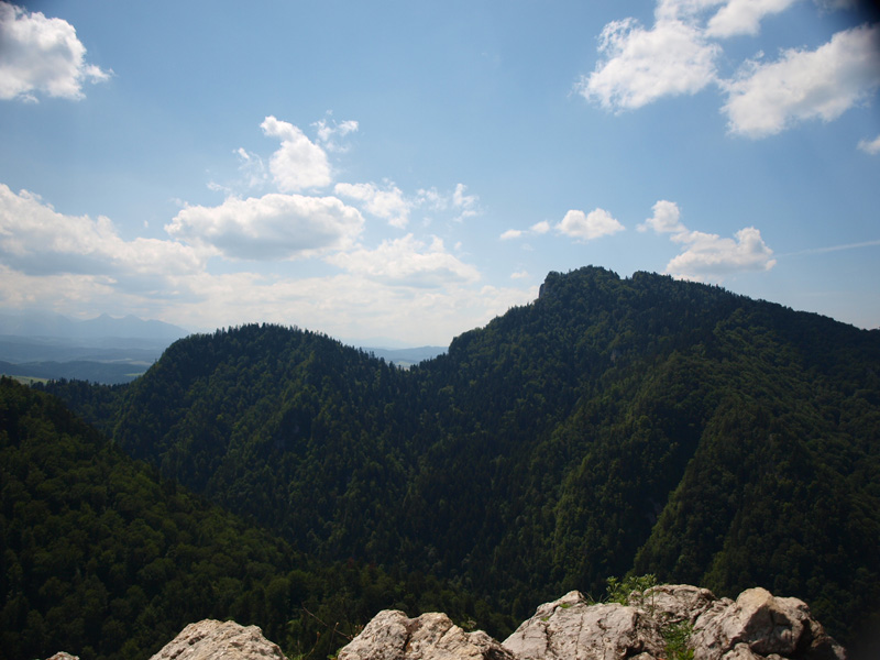 P7026750.JPG