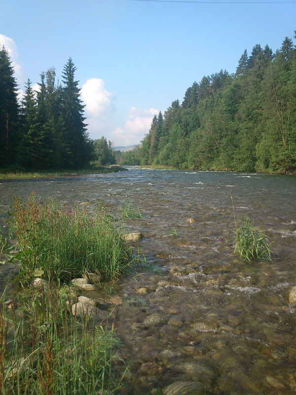 DSC_0099.JPG