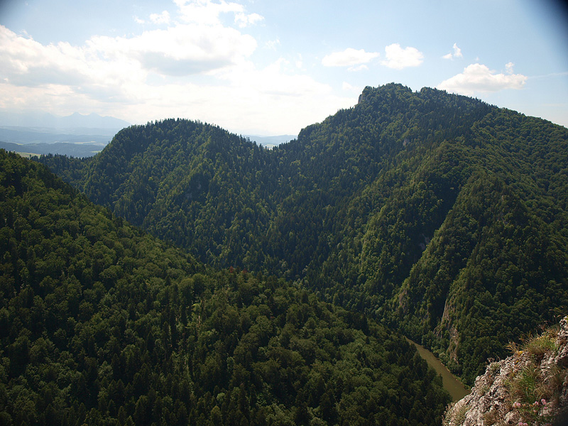 P7026753.JPG