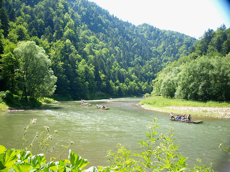 P7036794.JPG