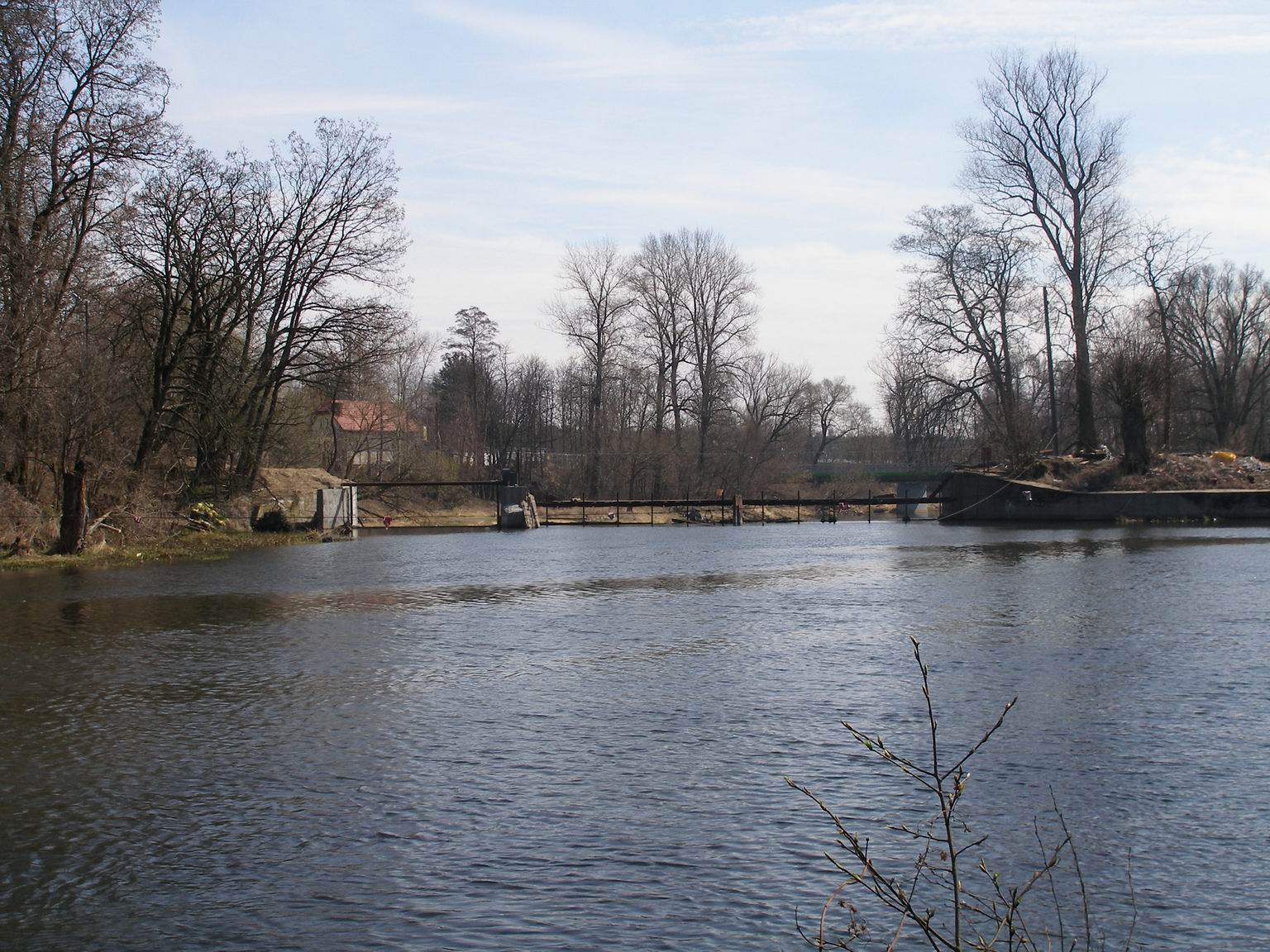 Resize of P4110042.JPG