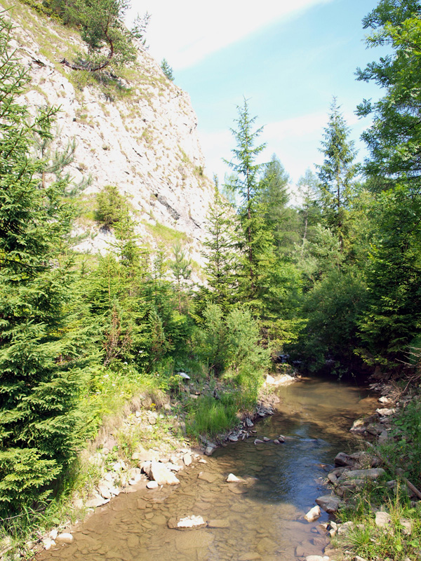 P7056850.JPG