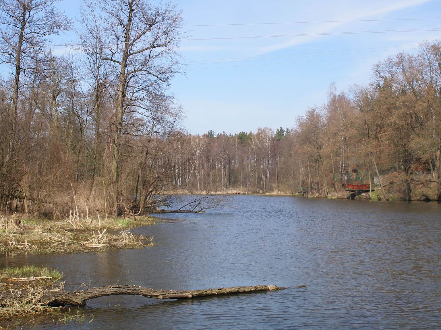 Resize of P4110043.JPG