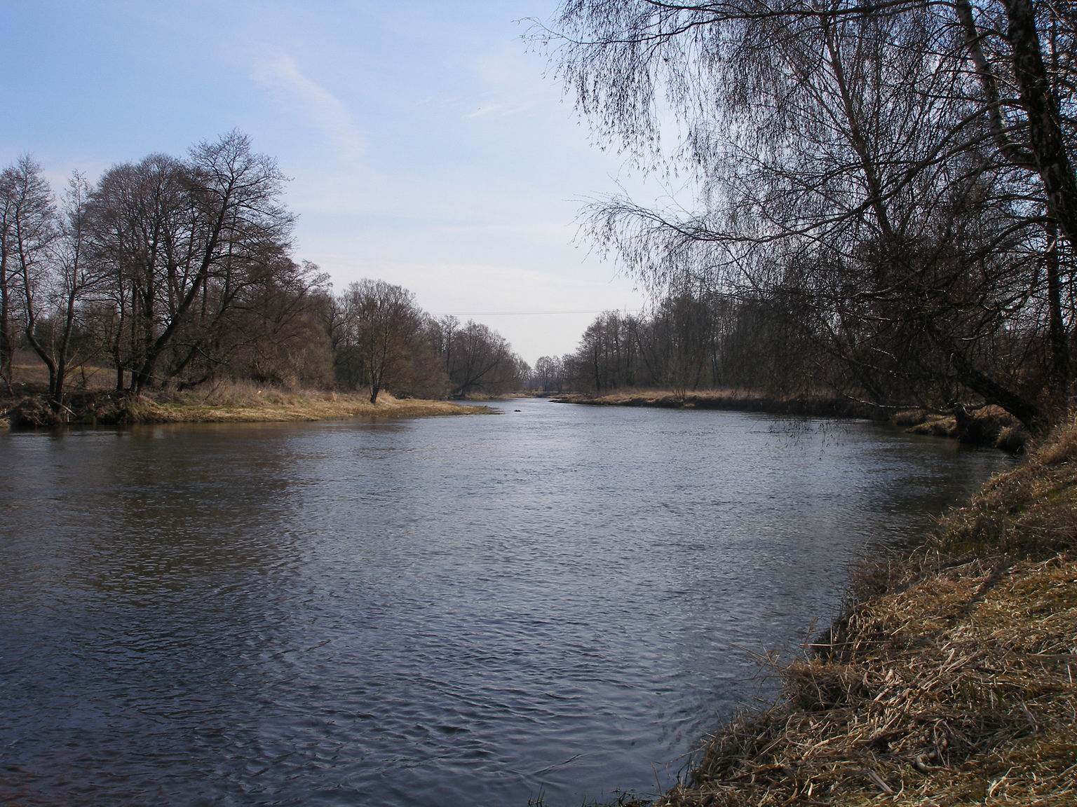 Resize of P4110044.JPG