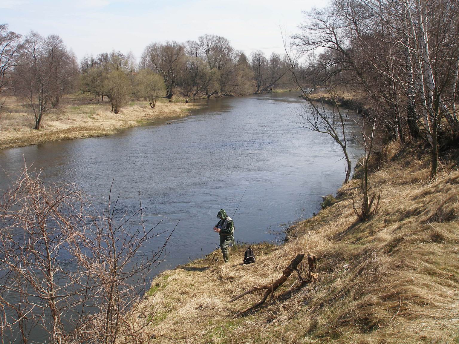 Resize of P4110046.JPG