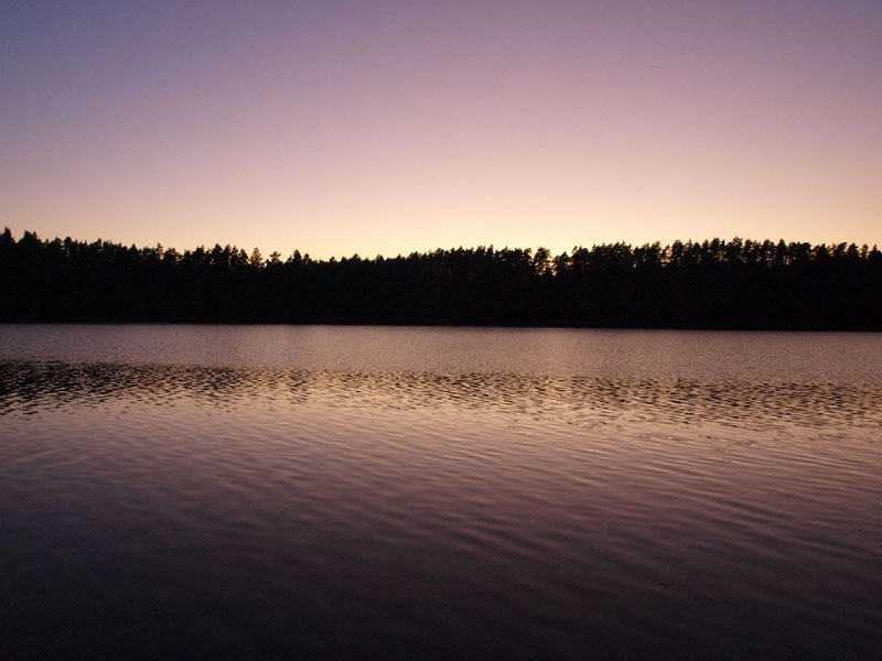 PA014683.JPG