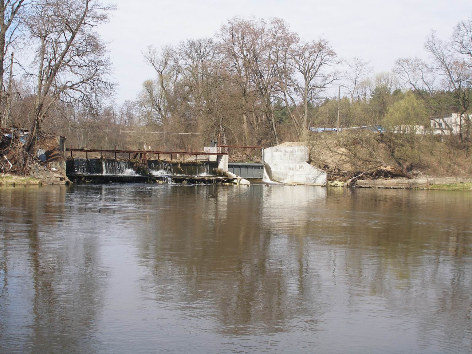 Resize of P4110040.JPG