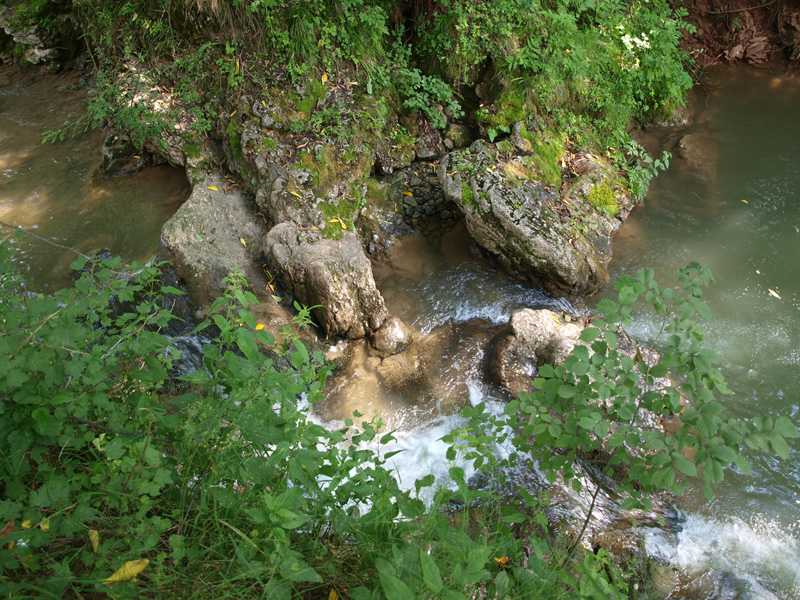 P7056834.JPG