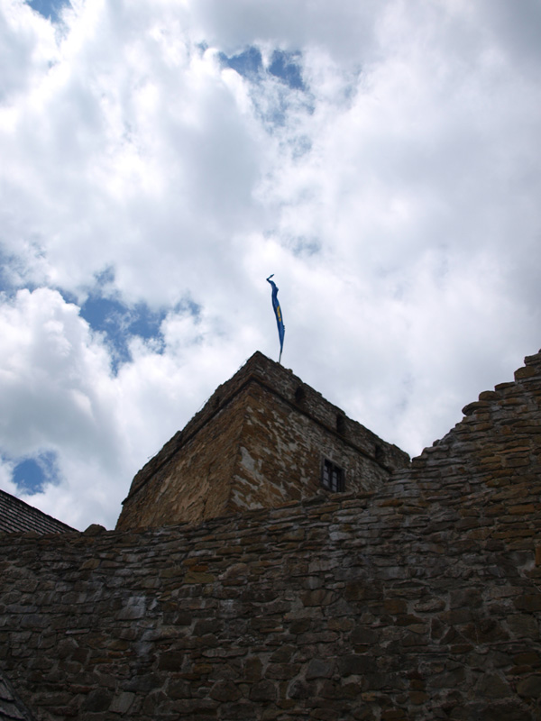 P7016667.JPG