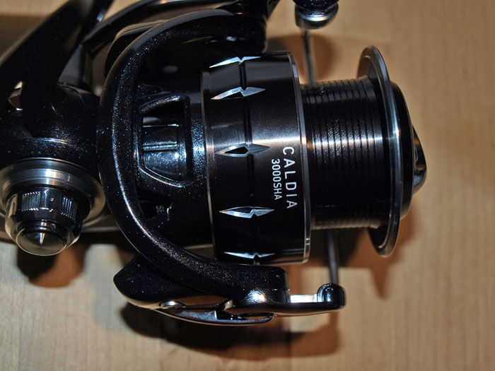 P1027306.JPG