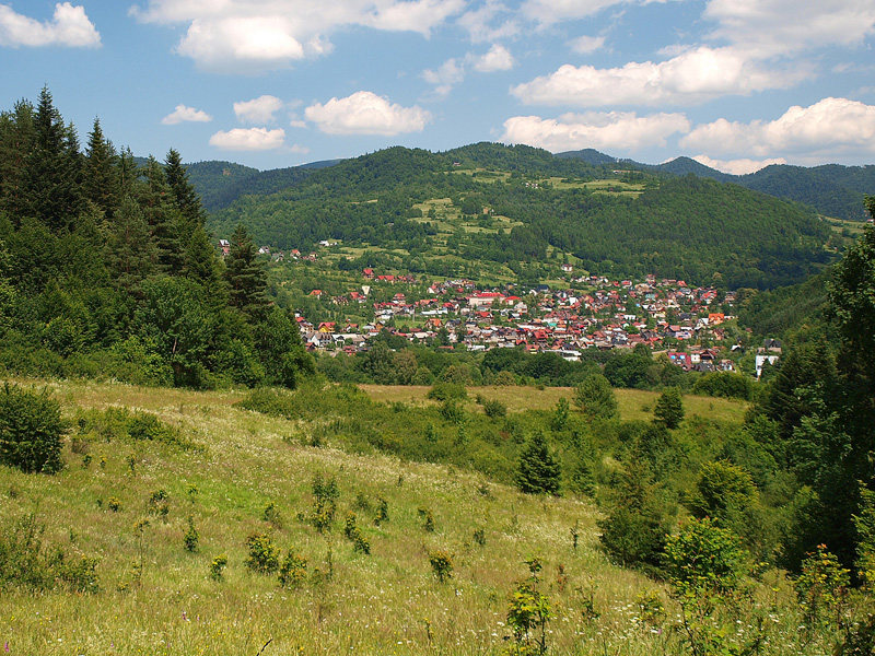 P7026745.JPG